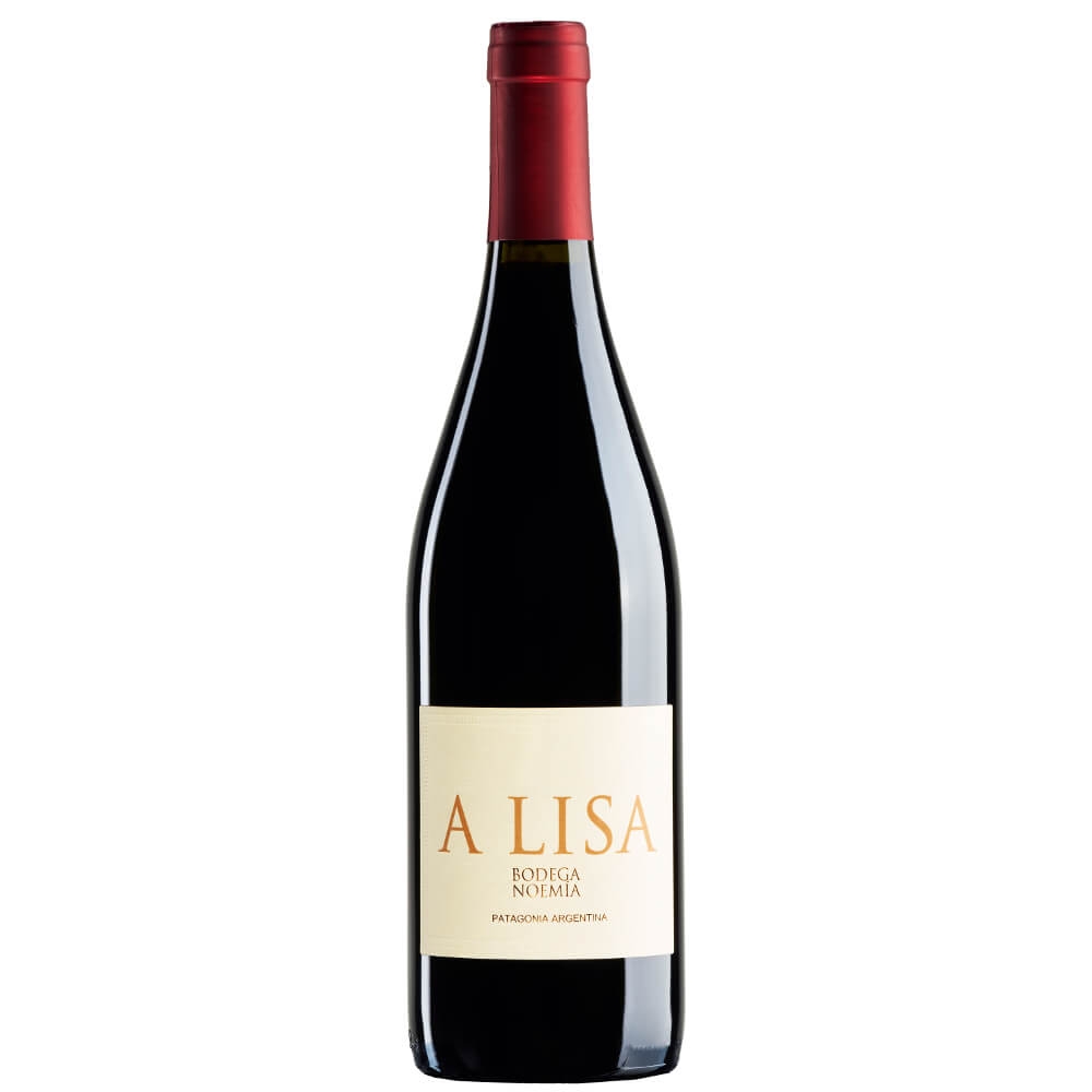 A Lisa Malbec Patagonia 2022  Bodega Noemia