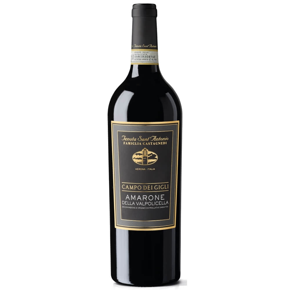 Amarone della Valpolicella DOCG Campo dei Gigli 2017  Tenuta Sant'Antonio