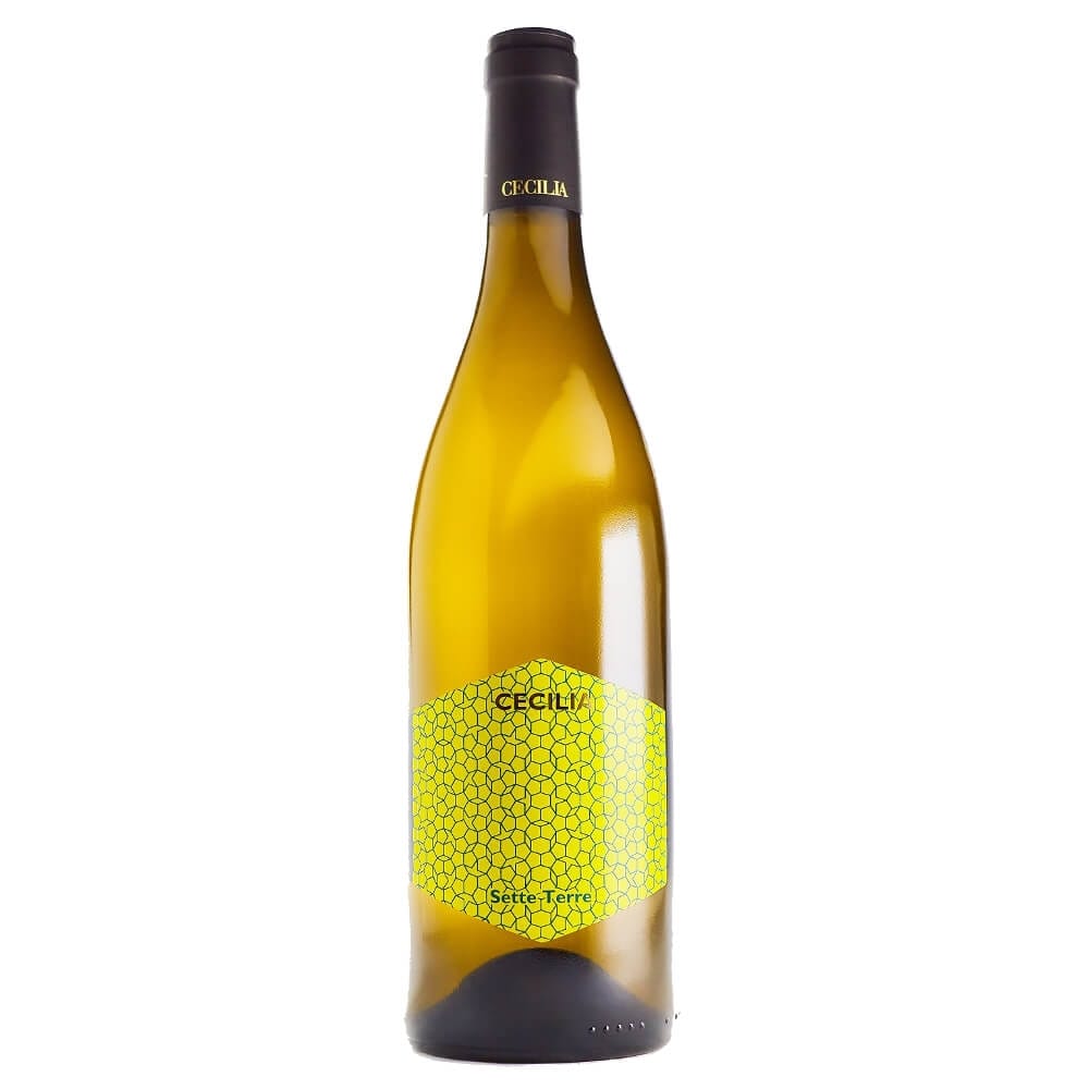 Chardonnay Setteterre IGT Toscana 2024 - Cecilia