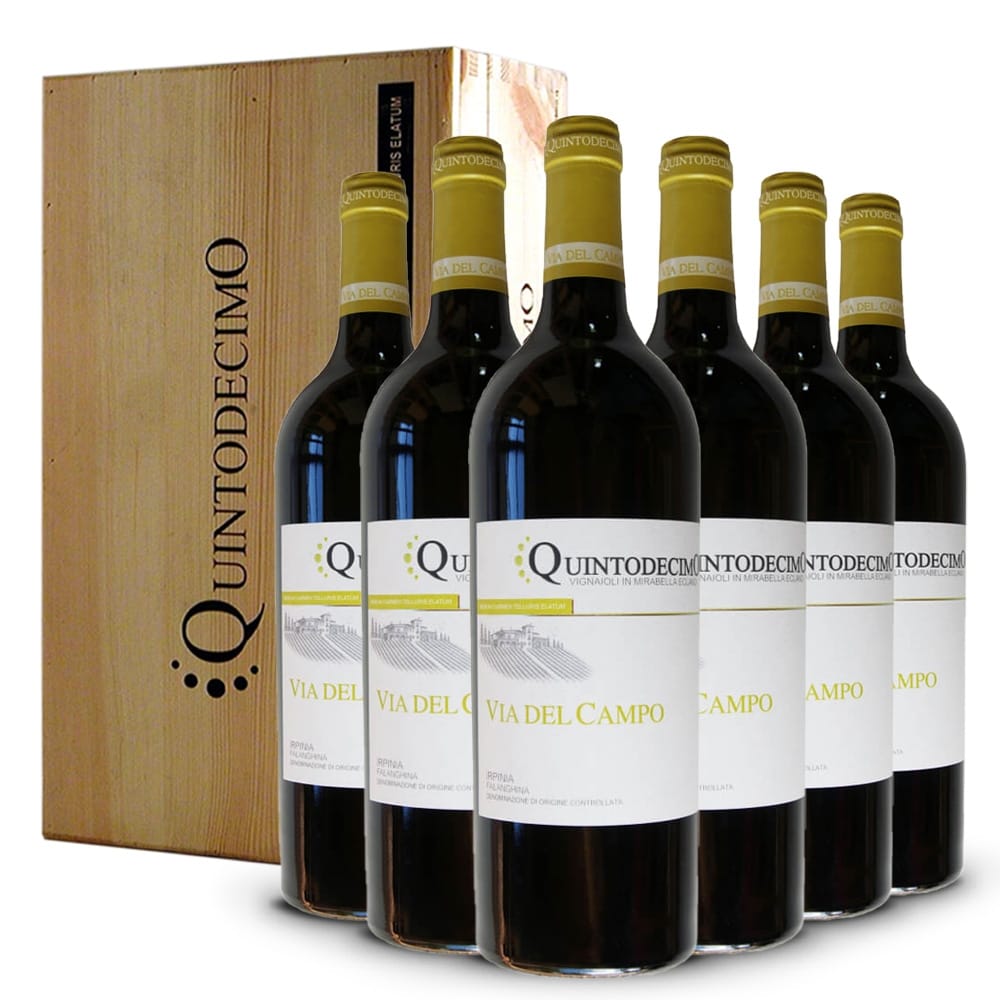 Falanghina Via del Campo Irpinia DOC 2023 6 bottiglie in Cassa Legno Originale  Quintodecimo