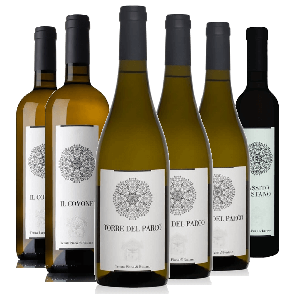 Degustazione 6 bt Marche - Piano di Rustano