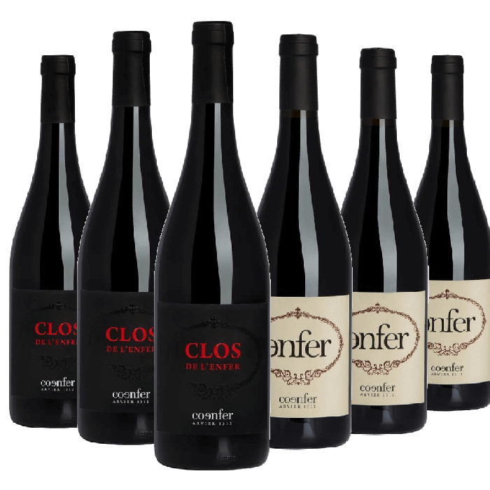 CONFEZIONE MISTA 24 PCS – Pietro Macellaro - Foto 12