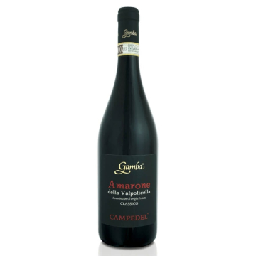 Amarone della Valpolicella DOCG Classico Campedel 2019 - Gamba