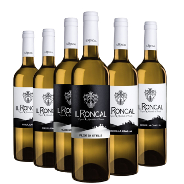 Degustazione 6 bt bianchi - Il Roncal