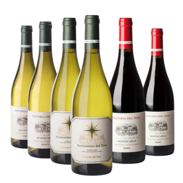 Degustazione 6 bt Toscana - Fattoria del Teso