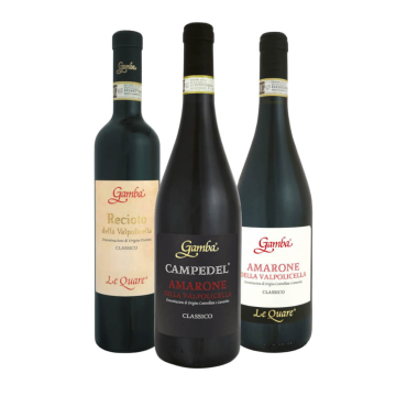 Degustazione 3 bt Valpolicella - Gamba