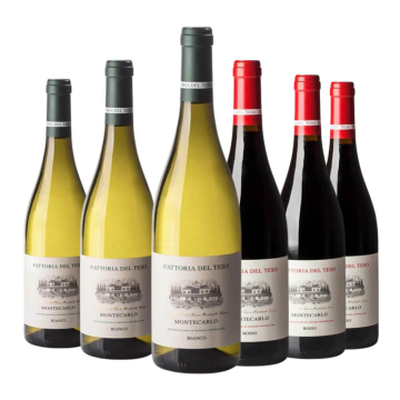 Degustazione 6 bt Montecarlo - Fattoria del Teso