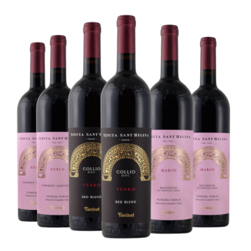 Degustazione 6 bt Rossi Friuli - Fantinel 