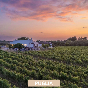 Menhir Marangelli Salento Visita Masseria e degustazione