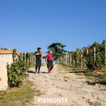 Chionetti Dogliani Visita in cantina e degustazione