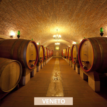 Gamba Valpolicella Visita in cantina e degustazione