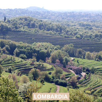La Costa Parco di Montevecchia Visita in cantina e degustazione