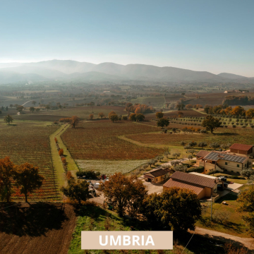 Perticaia Montefalco Visita in cantina e degustazione
