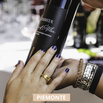 Roccasanta Langhe Visita in cantina e degustazione