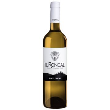 Pinot Grigio Colli Orientali Friuli DOC 2023 – Il Roncal