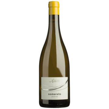 Chardonnay Somereto Alto Adige DOC 2023 – Andrian