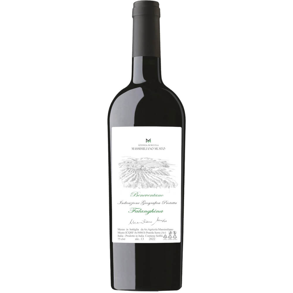 Falanghina Beneventano IGT 2024  Massimiliano Musto