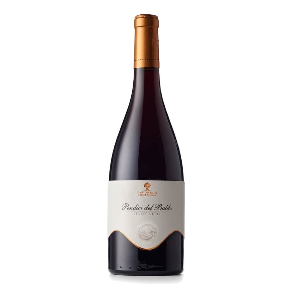 Pinot Nero Pendici del Baldo Trentino DOC 2022  Mori Colli Zugna