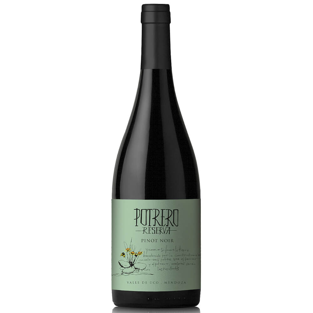 Potrero Reserva Pinot Noir Mendoza 2021  Vinos de Potrero
